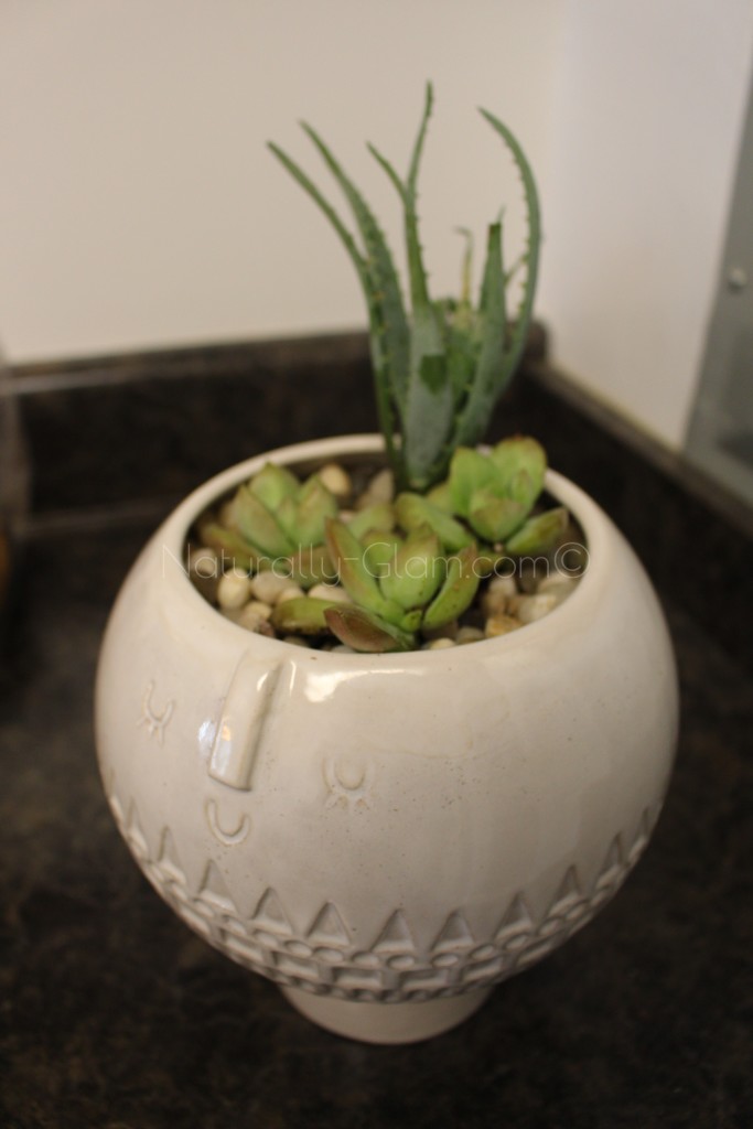 How To Make A Succulent Container Garden Naturally Glam Jonna Scott