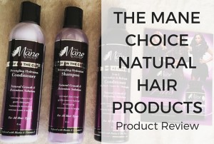 The-Mane-Choice-Natural-Hair-Products-Naturally-Glam