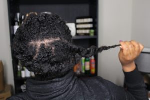 Halo Twist Hairstyle